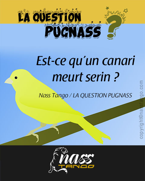 QUESTION PUGNASS – CANARI SERIN